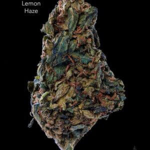 1 OUNCE $30 - LEMON HAZE - A