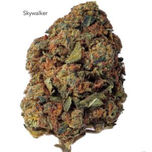 1 OUNCE $40 - SKYWALKER - AA