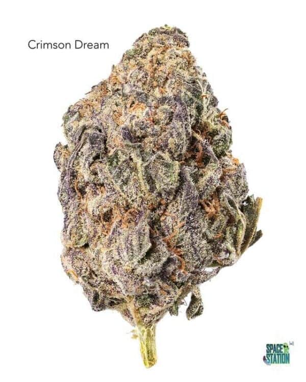 7GRAMS $25 - CRIMSON DREAM - AAA