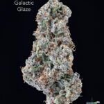 GALACTIC GLAZE - AAAA FLOWER