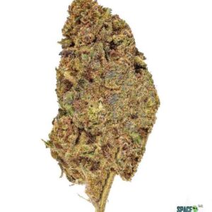 1 OUNCE $60 - 2 OUNCES $100 - GASTRO POP - AA