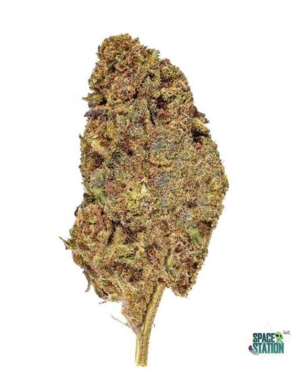 1 OUNCE $60 - 2 OUNCES $100 - GASTRO POP - AA