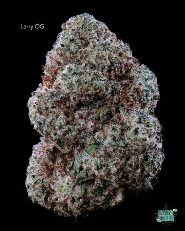 7GRAMS  - LARRY OG - AAA