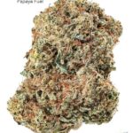 7GRAMS $25 - PAPAYA FUEL - AAA