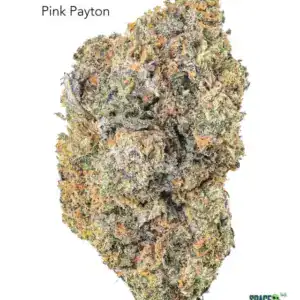 1 OUNCE $90 - 2 OUNCES $150 - PINK PAYTON - AAA
