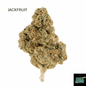 1 OUNCE $60 - 2 OUNCES $100 - JACK FRUIT - AA+
