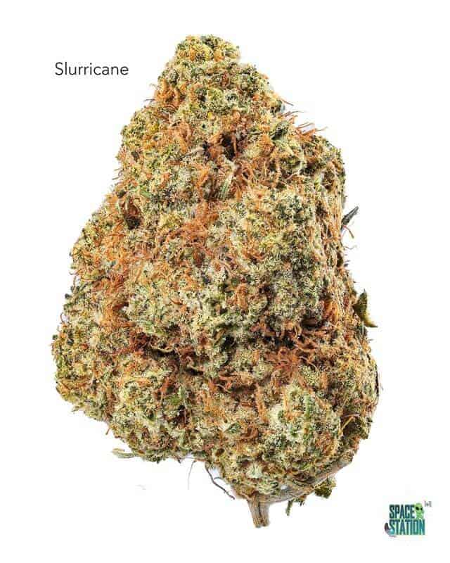 7GRAMS $25 - SLURRICANE - AAA