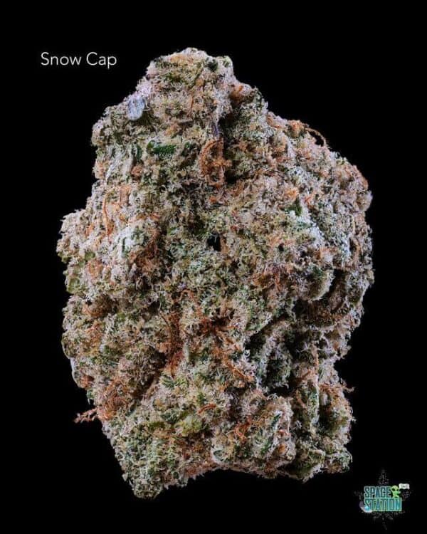 7GRAMS  - SNOWCAP - AAA