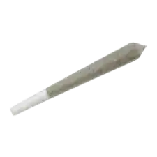2 OZS WHITE TIP PREROLLS - A+