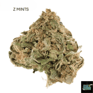 1 OUNCE $60 - 2 OUNCES $100 - Z MINTS - AA