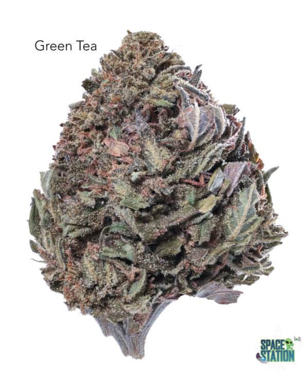 1 OUNCE $40 - GREEN TEA - A+