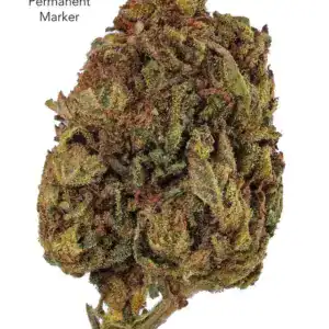 1 OUNCE $60 - 2 OUNCES $100 - PERMANENT MARKER - AA