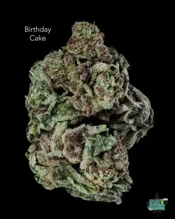 1 OUNCE  - 2 OUNCES 0 - BIRTHDAY CAKE - AA
