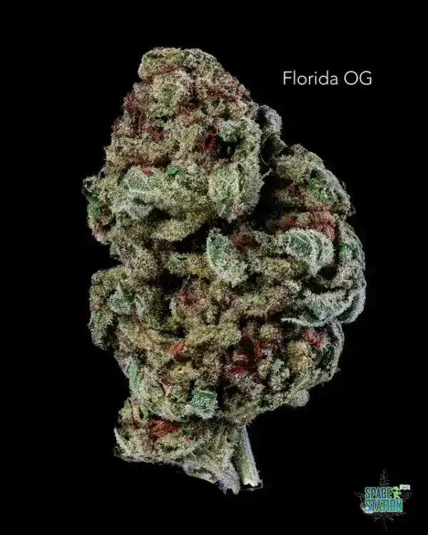 1 OUNCE  - 2 OUNCES 0 - FLORIDA OG - AA