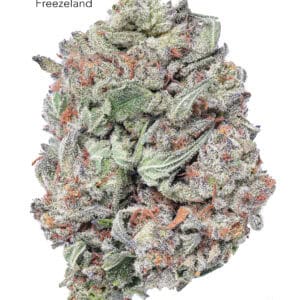 1 OUNCE $60 - 2 OUNCES $100 - FREEZELAND - AA