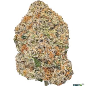 7GRAMS $25 - LECHERA - AAA