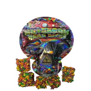 MUSHROOM NERD BITES - 3000MG PENIS ENVY INFUSED