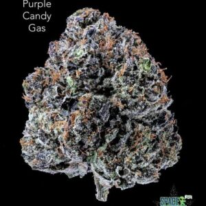 TERPY VIBES - PURPLE CANDY GAS - AAAA+