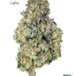 1 OUNCE $40 - NORTHERN LIGHTS - A+