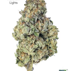 1 OUNCE $40 - NORTHERN LIGHTS - A+