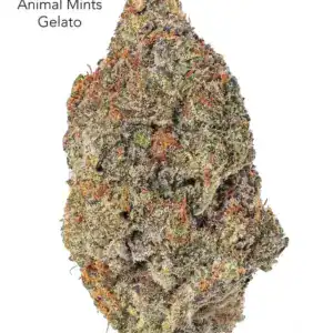 7GRAMS $25 - ANIMAL MINTS GELATO - AAA