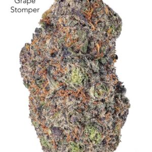 7GRAMS $25 - GRAPE STOMPER - AAA