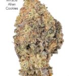 7GRAMS $25 - MIRACLE ALIEN COOKIES (MAC) - AAA