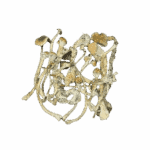 PHOENIX PHUNGUS MUSHROOMS - NATS - SOLD IN 7GRAMS