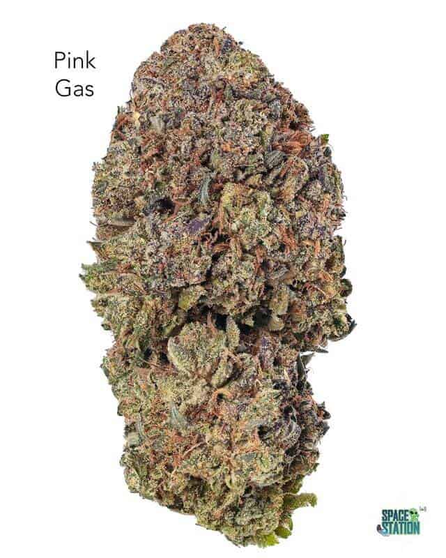 7GRAMS $25 - PINK GAS - AAA