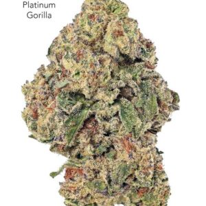 7GRAMS $25 - PLATINUM GORILLA - AAA