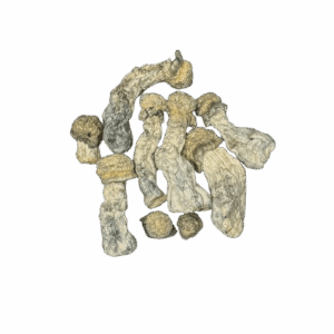 SPACE SPORES MUSHROOMS - ALBINO PENIS ENVY - 14GRAMS