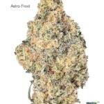 1 OUNCE $90 - 2 OUNCES $150 - ASTRO FROST - AAA