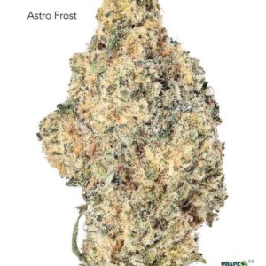 1 OUNCE $90 - 2 OUNCES $150 - ASTRO FROST - AAA