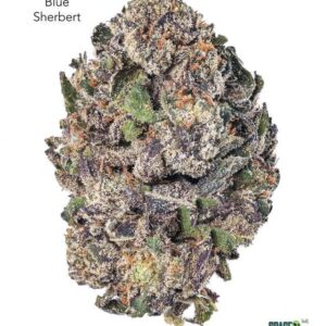 1 OUNCE $75 - 2 OUNCES $125 - BLUE SHERBERT - AA+