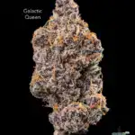 GALACTIC QUEEN - AAAA+