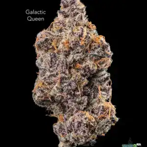 GALACTIC QUEEN - AAAA+