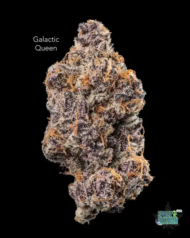 GALACTIC QUEEN - AAAA+