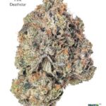 GASTRONAUT CANNABIS - PINK DEATHSTAR
