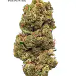 1 OUNCE $75 - 2 OUNCES $125 - BUBBA GUM GARY - AA+