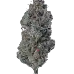 1 OUNCE $75 - 2 OUNCES $125 - BUBBA GUM GARY - AA+