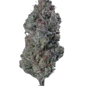 1 OUNCE $75 - 2 OUNCES $125 - BUBBA GUM GARY - AA+