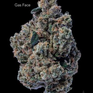 DOPPLER - GAS FACE - AAAA
