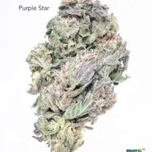 1 OUNCE $60 - 2 OUNCES $100 - PURPLE STAR - AA
