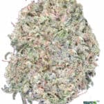 1 OUNCE $60 - 2 OUNCES $100 - BLUEBERRY - AA