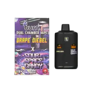 BURN LIFESTYLE CO - 6 GRAM DUAL CHAMBER DISPOSABLE VAPE - GRAPE DIESEL + SOUR SPACE CANDY