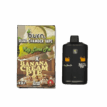 BURN LIFESTYLE CO - 6 GRAM DUAL CHAMBER DISPOSABLE VAPE - KEY LIME PIE + BANANA CREAM PIE