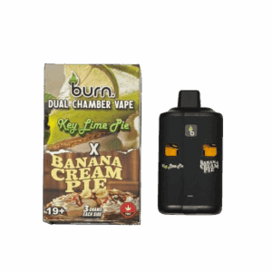 BURN LIFESTYLE CO - 6 GRAM DUAL CHAMBER DISPOSABLE VAPE - KEY LIME PIE + BANANA CREAM PIE