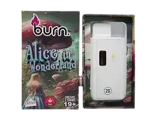 BURN LIFESTYLE CO - 2 GRAM DISPOSABLE VAPE - ALICE IN WONDERLAND