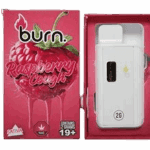 BURN LIFESTYLE CO - 2 GRAM DISPOSABLE VAPE - RASPBERRY COUGH