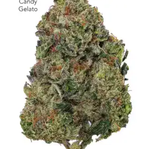 7GRAMS $25 - CANDY GELATO - AAA